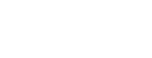 Logo NEX-S Light