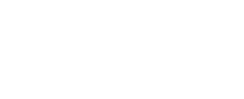 Logo NEX-S PHONO ABSORB