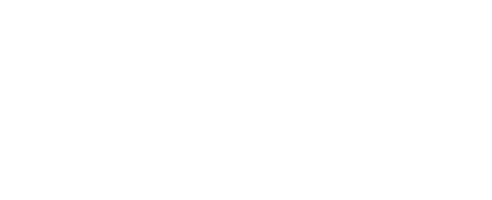 Logo NEX-S PHONO ISOLANT